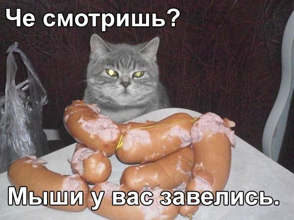 EC5pGjdXsAUFEL3.jpg