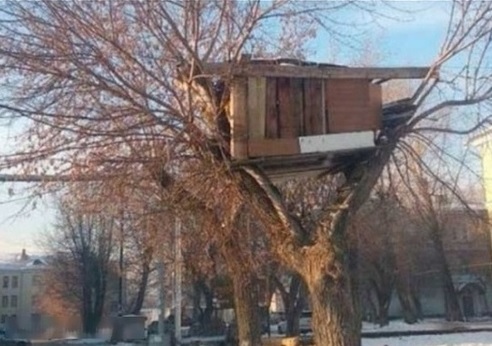 Безымянный.jpg