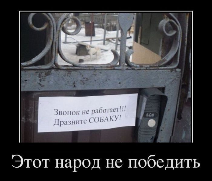 c356df331e38.jpg