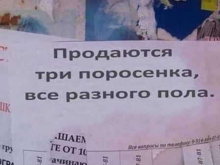 Безымянный.jpg