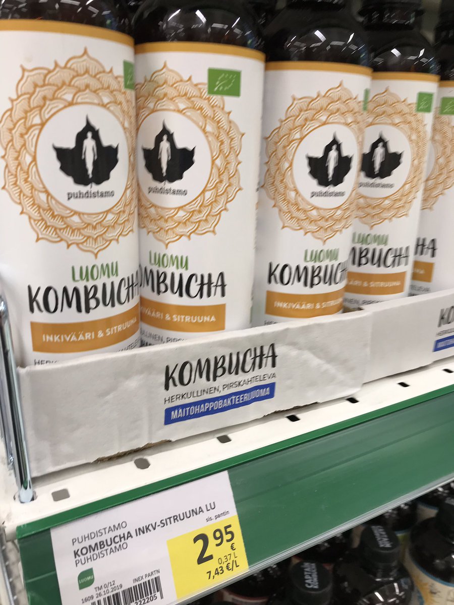 Чайный гриб.jpg