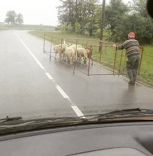 Безымянный1.jpg