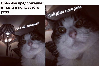 upload_2020-1-31_14-58-30.png