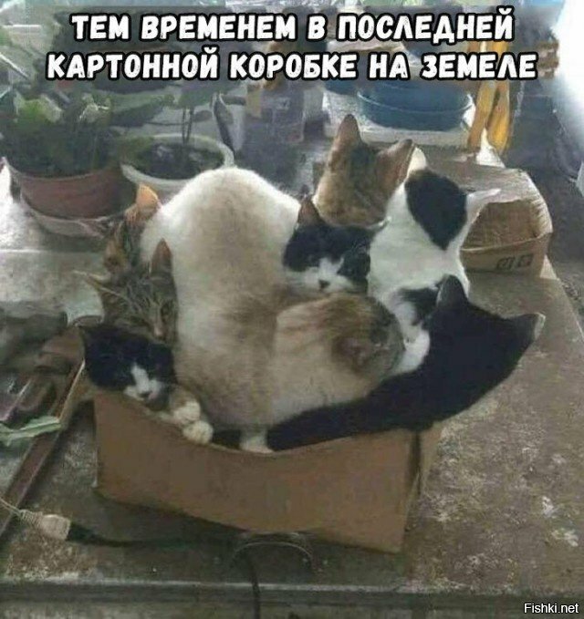 4397331e3c4c.jpg