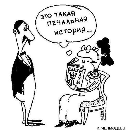 shahmaty2.jpg