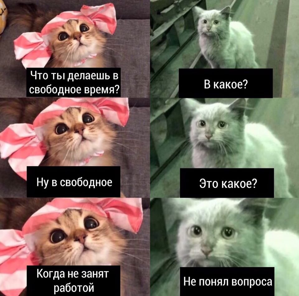 ER10mwcXsAEEua5.jpg