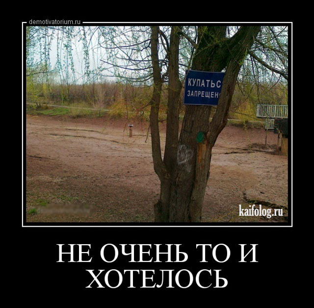 1465964346_023.jpg