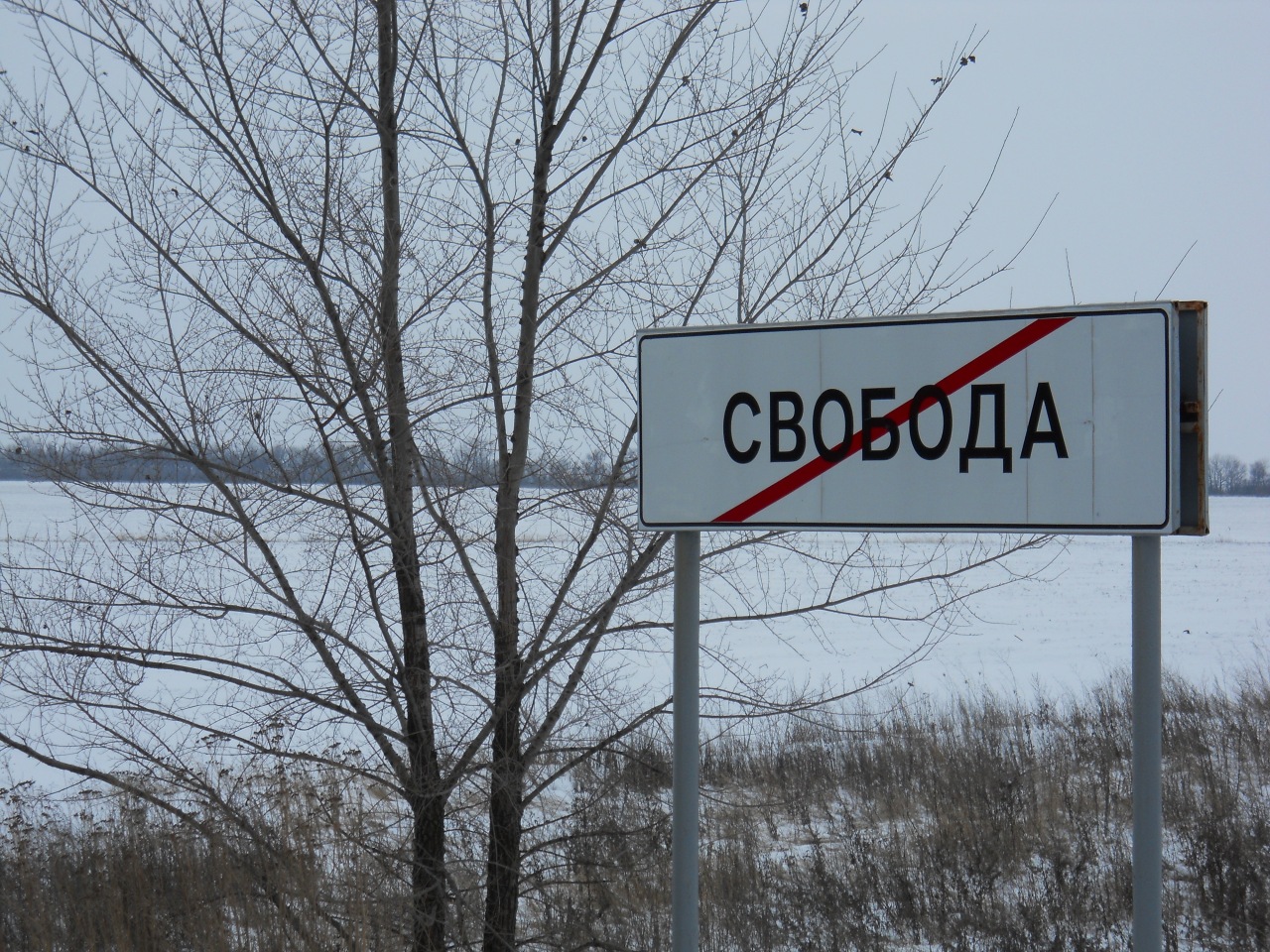 z_683530b0.jpg