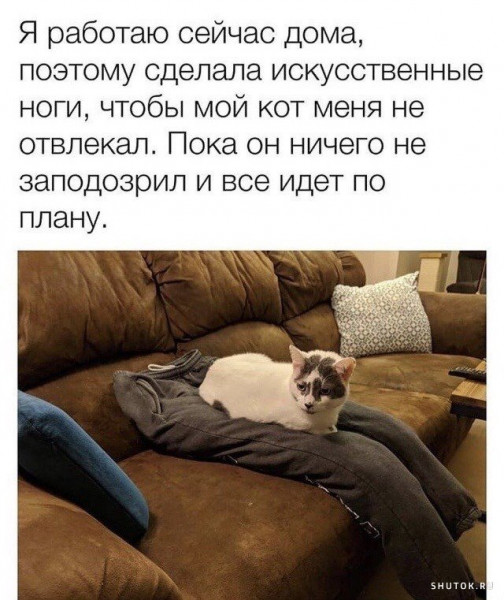 1588231231.jpg