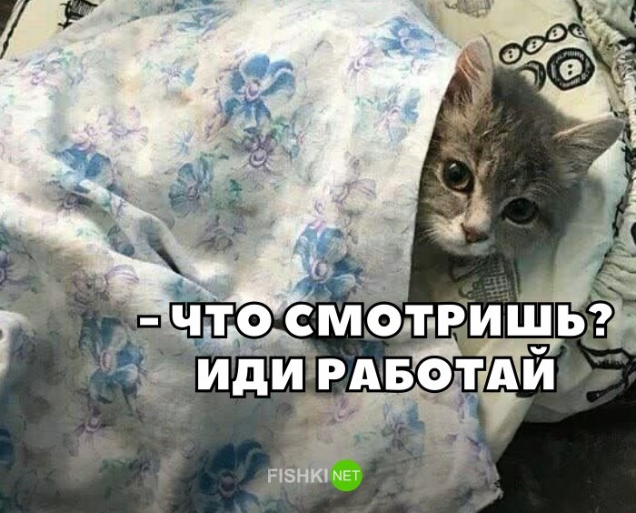 3358cc39329f.jpg