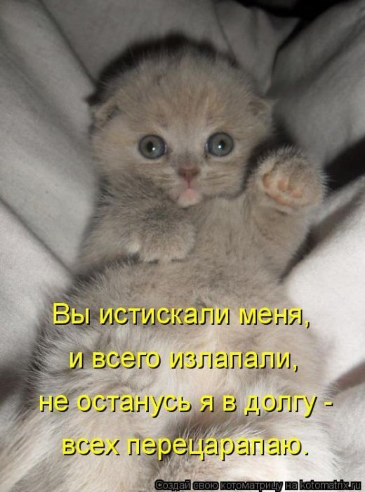 IMG-b69ef1fe2108d02c6a90e4db8f00e130-V.jpg
