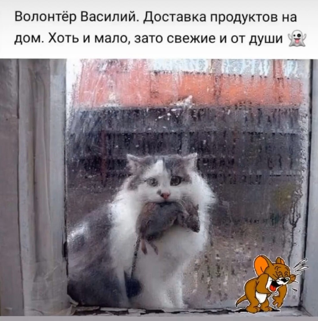 IMG-cb2d81636a7196205971a4ac387d39e4-V.jpg