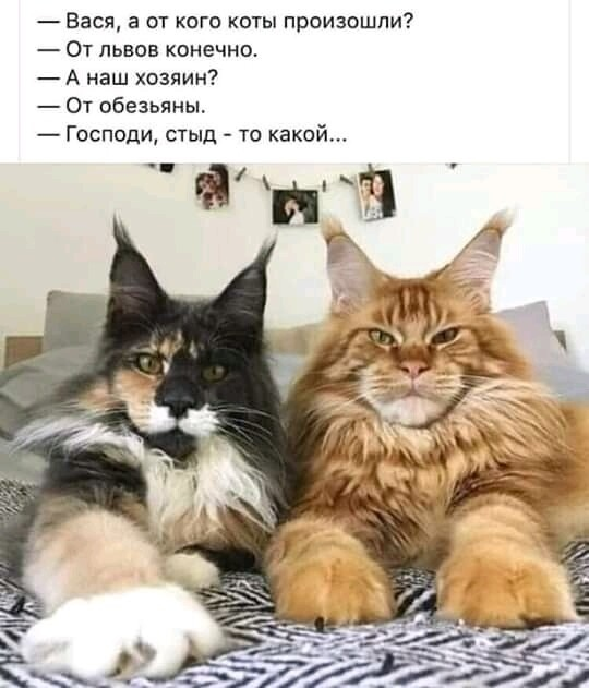 upload_2020-5-17_1-10-16.png