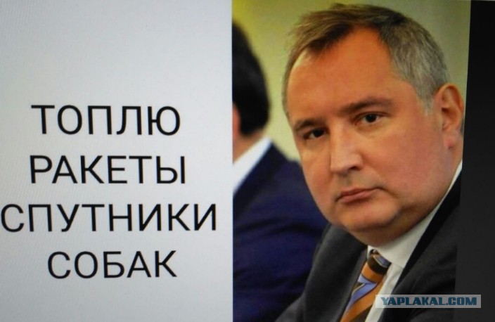 топлю.jpg