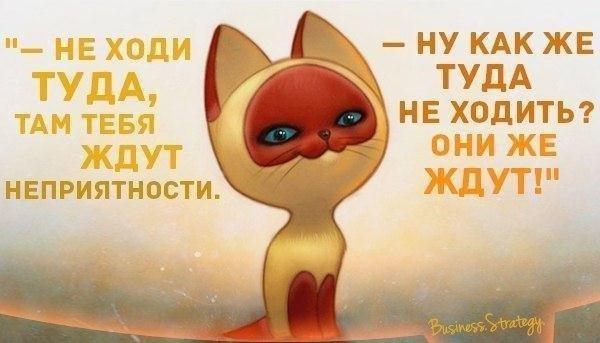 eIHlkFvBdak.jpg