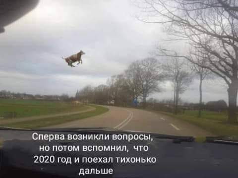 IMG-1661a84b8d1718dcc965f74f436e243a-V.jpg