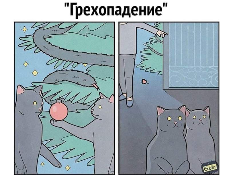 3b6c492fe9b5.jpg