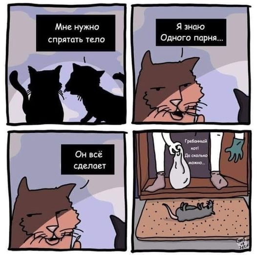 EsHy8bUXYAkMuVg.jpg