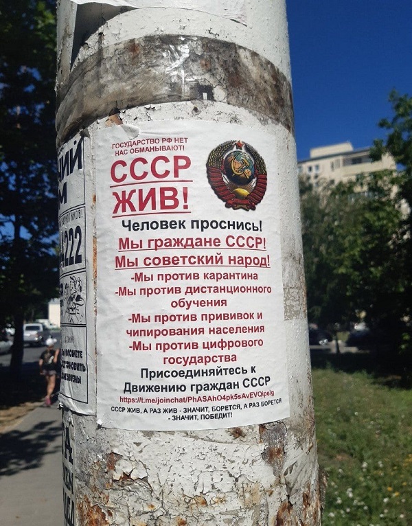 YfIB0eWzgMI.jpg