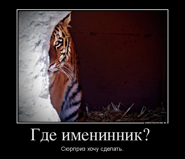 900913_gde-imeninnik-_demotivators_to.jpg
