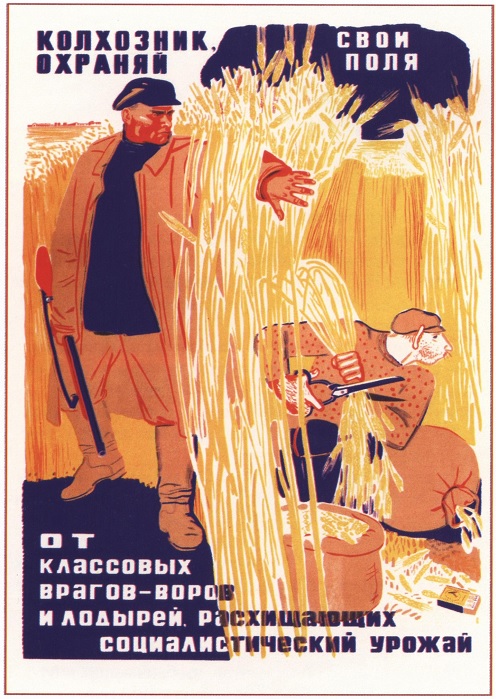 оиом.jpg