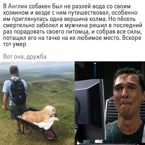 E6CfIU2WUAY80cF.jpg