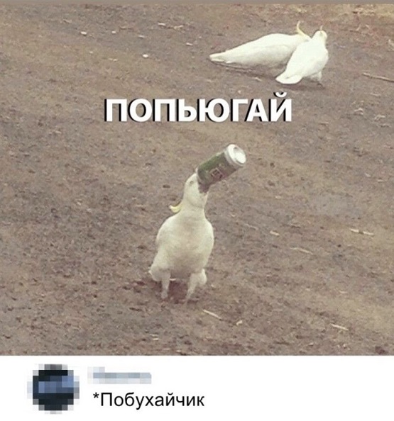 E-DySu5XMAYGPWS.jpg