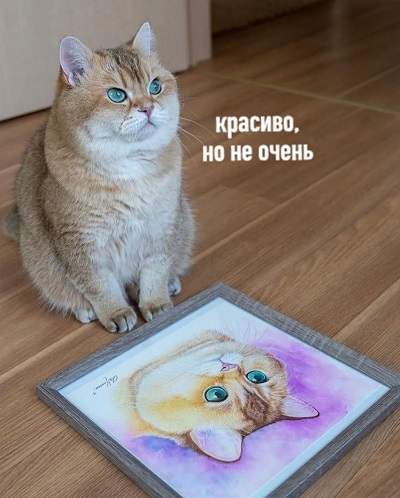 E_UORqFXEAkn8Lh.jpg