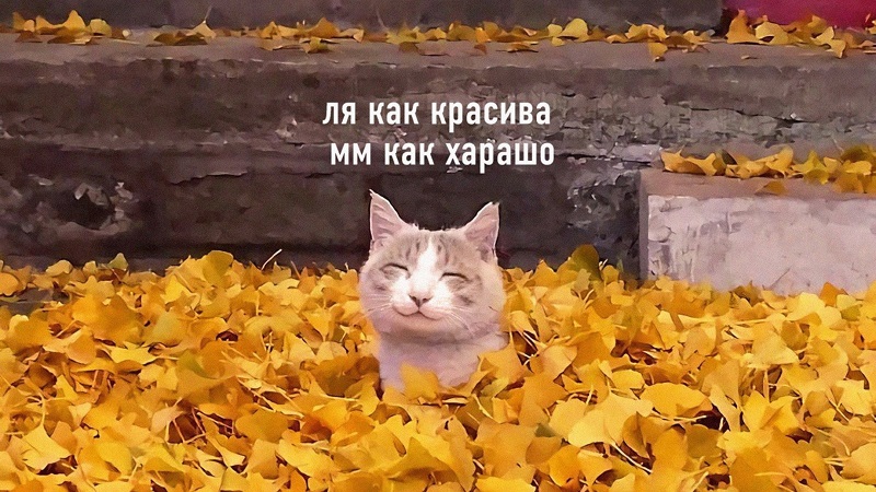 E_dbavoXIAkAwjF.jpg