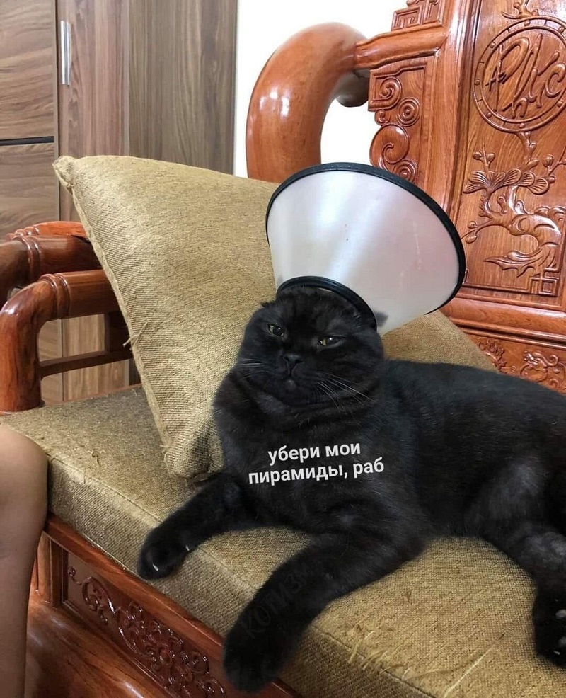 E_faFlVWUAUXVqS.jpg