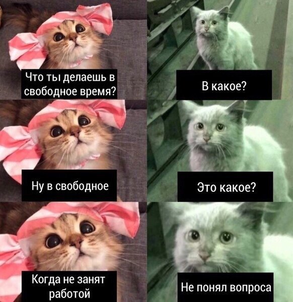 E_ubPrJWYAYE0FE.jpg