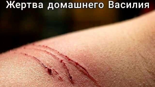 E_3bKRPUcAI52SY.jpg