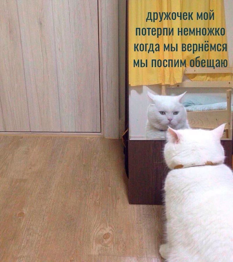 E_3kT_bVQAgAnCg.jpg