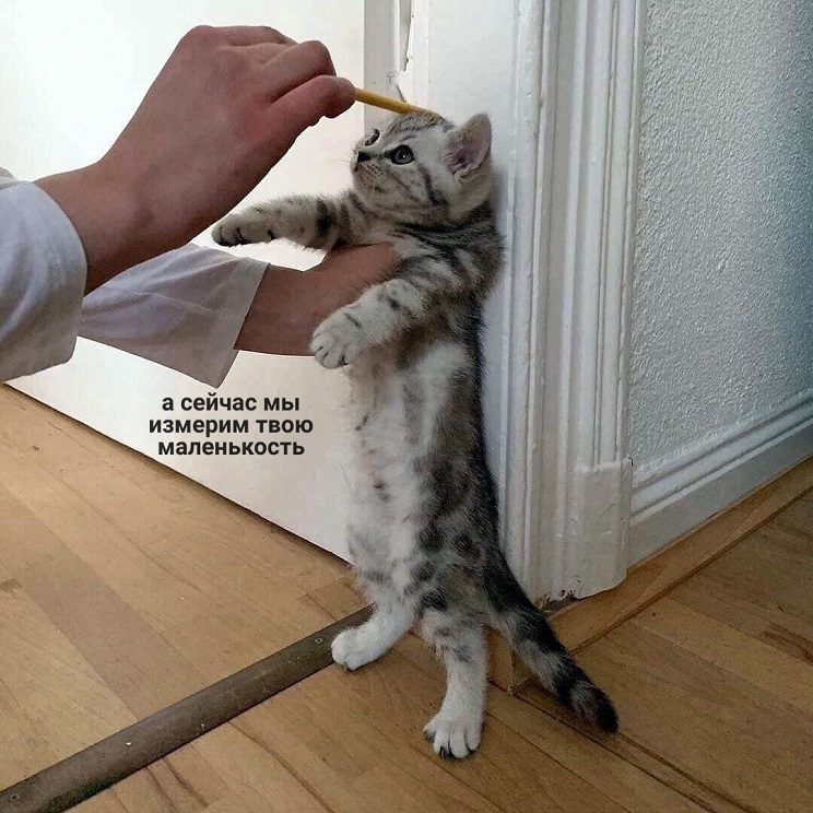 E_2k3yCVEAAyjmo.jpg
