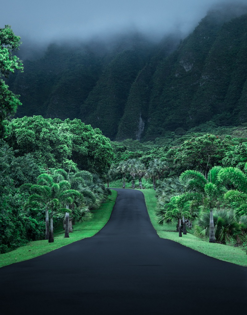 FinalOahuRoad-web.jpg
