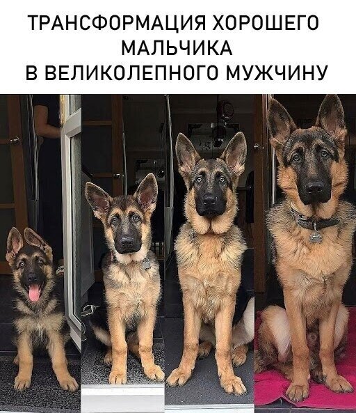 FBShVQpWYAcACkh.jpg