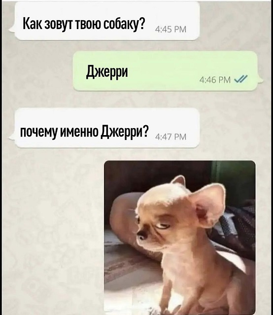 FBaHm7DXIAcy7pH.jpg