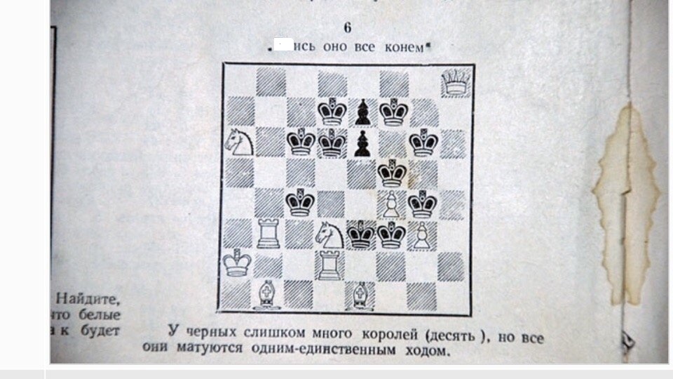 конь.jpg