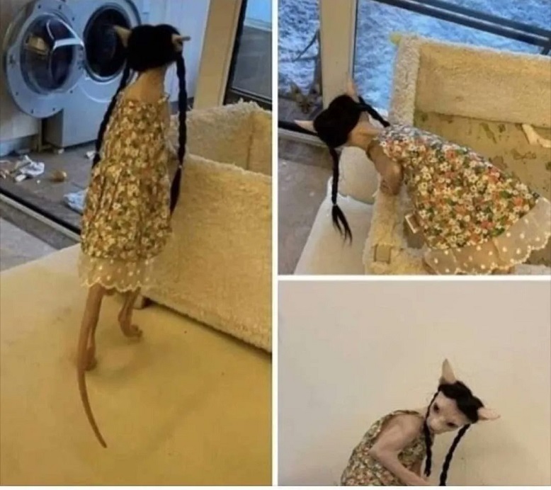 FEZu3ogXwAY5dPG.jpg