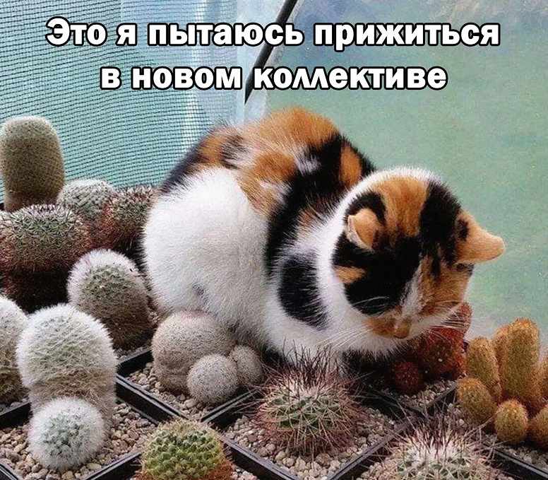 FEizlwSXEAIze2L.jpg