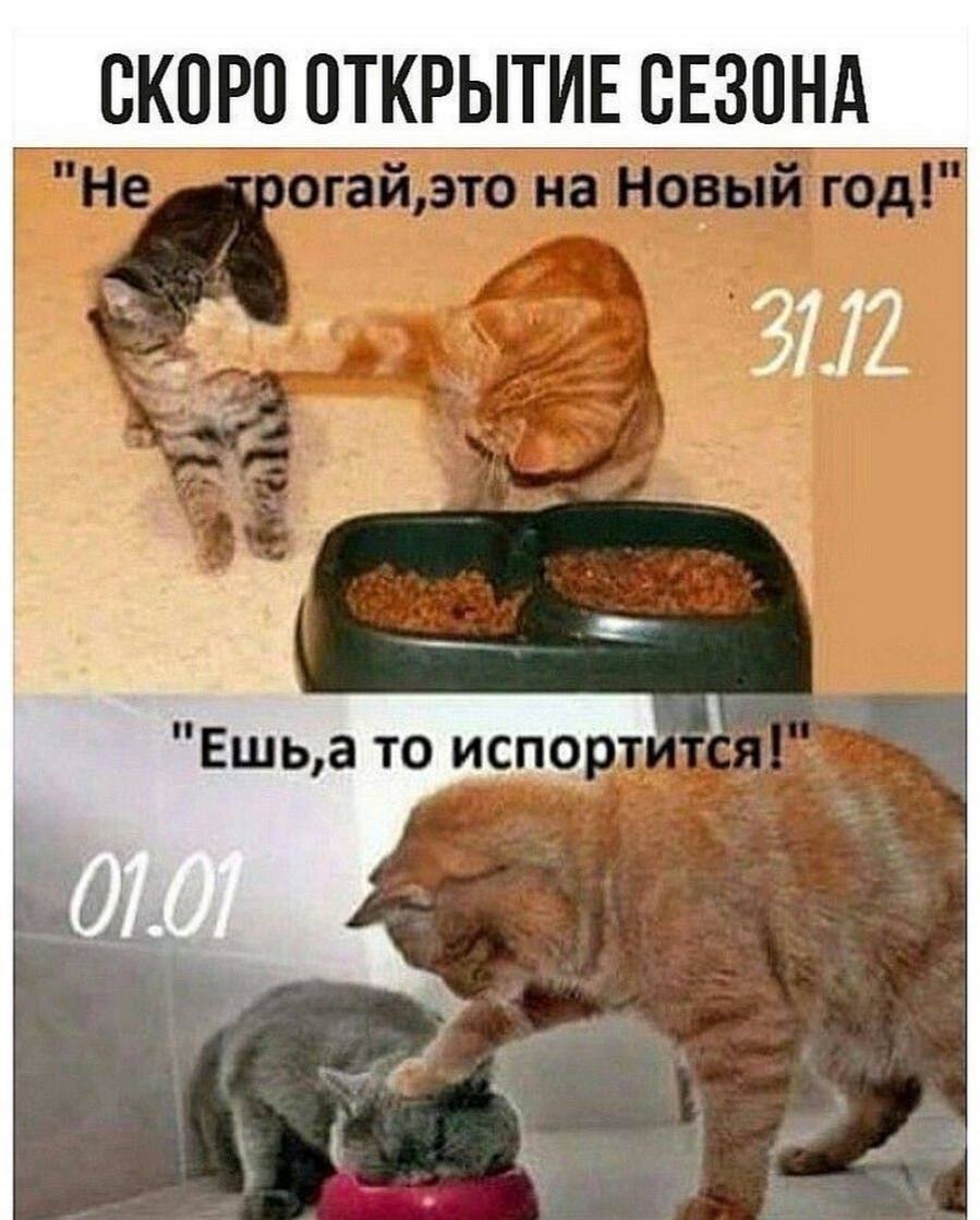 Безымянный.jpg