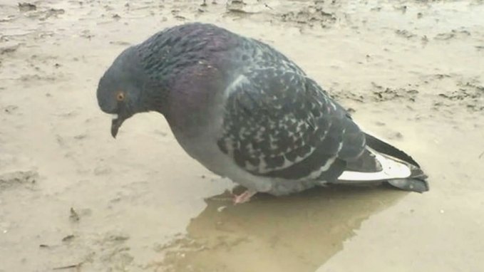 FEyLu_OWQAMHtWO.jpg
