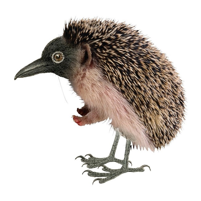 cAVEBtb5QuQ.jpg