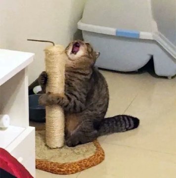 FHwG9wIXwAEku0A.jpg