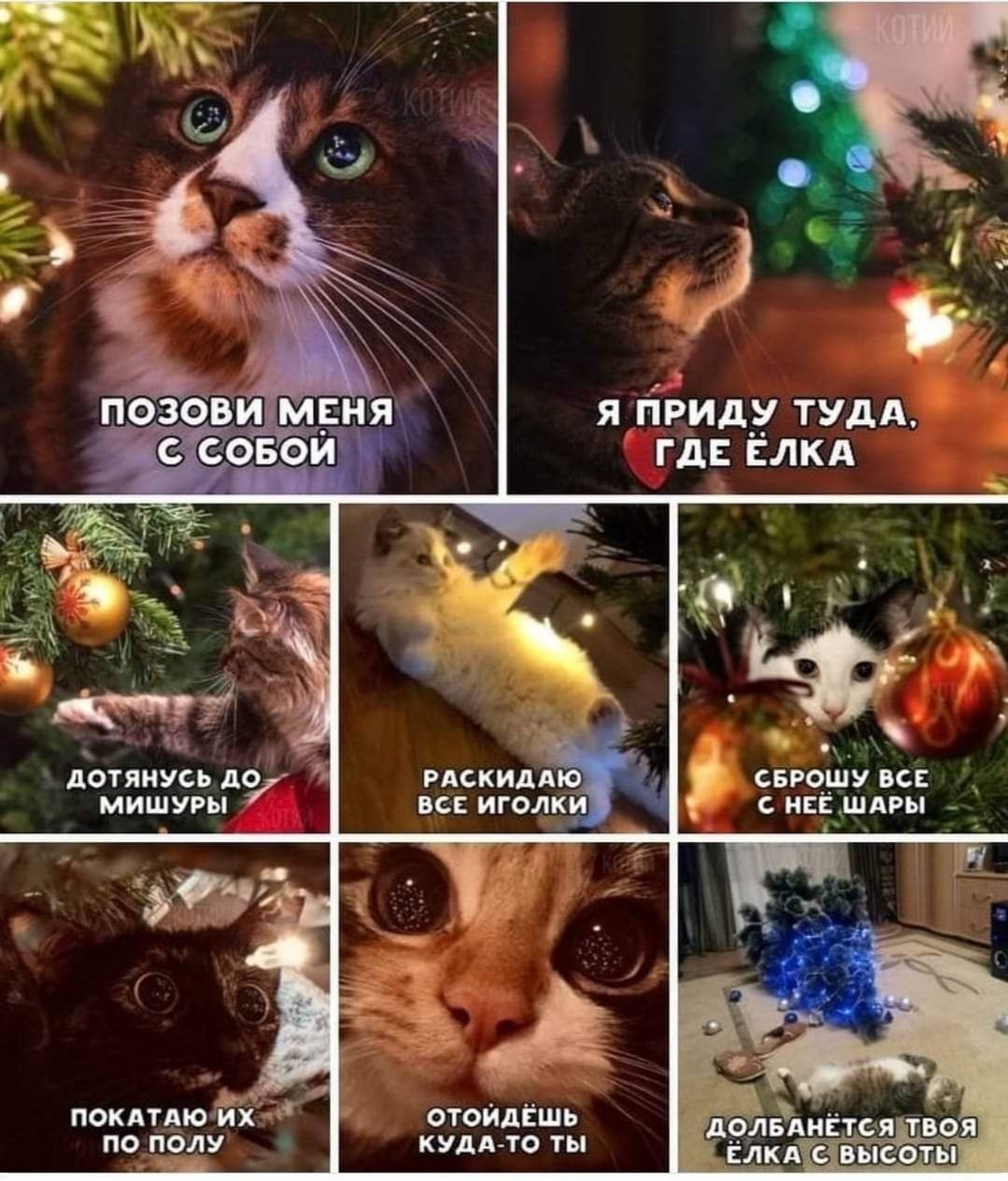 0Безымянный.jpg