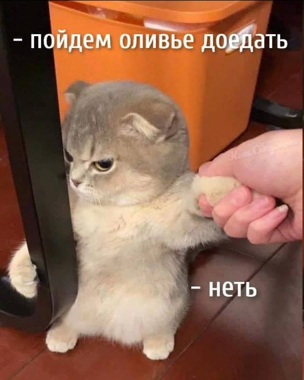 upload_2022-1-4_11-5-40.png