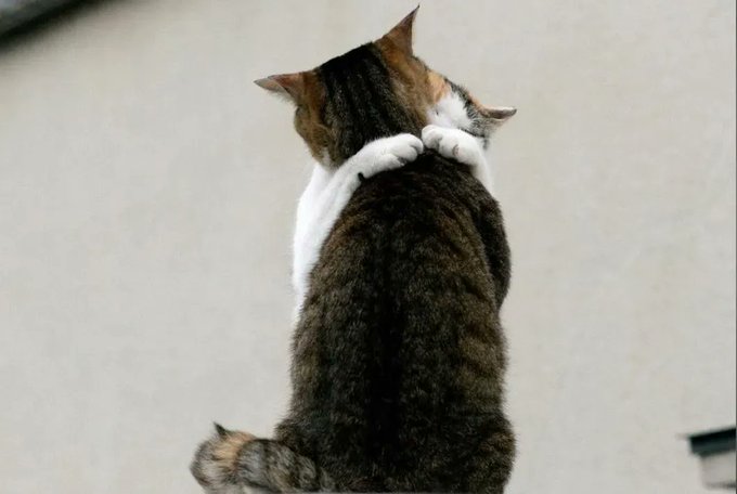 FIak7nYWYAkw0qH.jpg