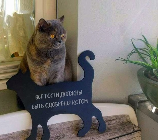 FIa_fLEWUAEWUsn.jpg