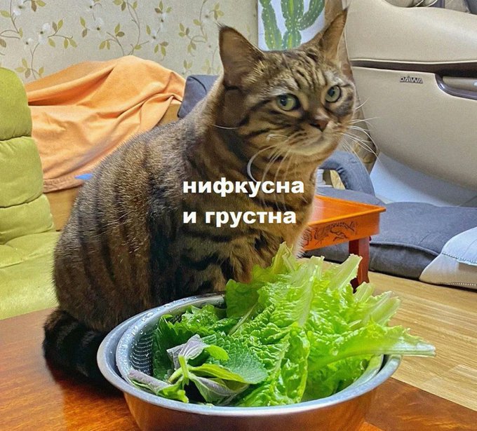 FIuDMaHX0AEBiBw.jpg