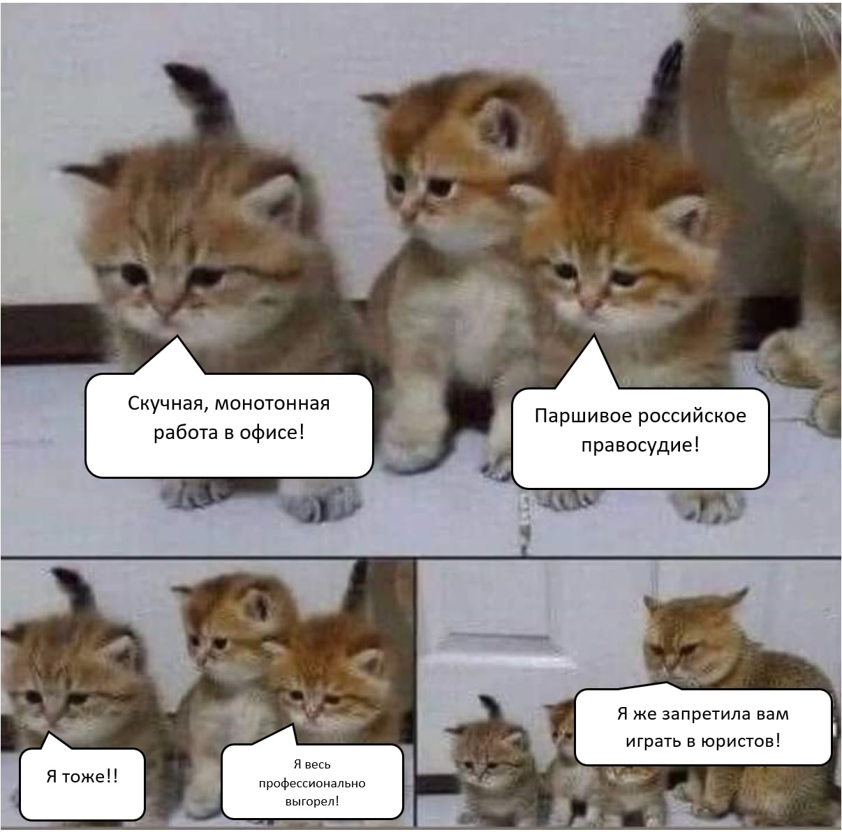 0Безымянный.jpg